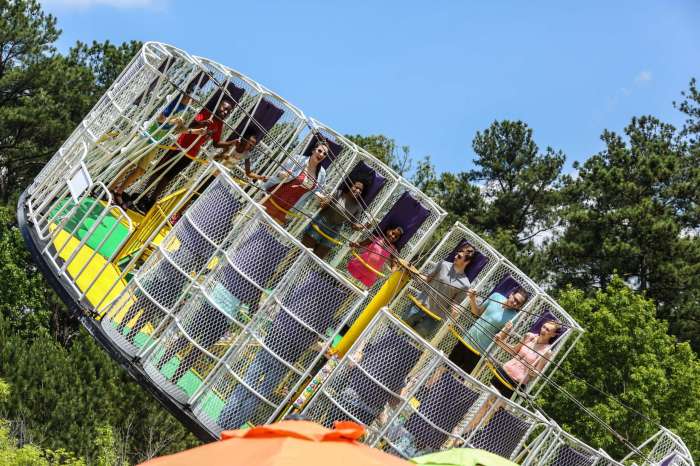 Carnival Rides