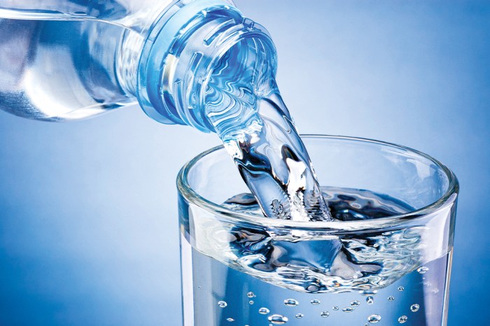 Why Is Water Essential for Life? - RobinAge